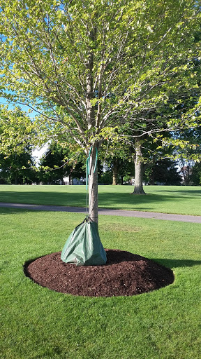 Golf Club «Pinecrest Golf Club», reviews and photos, 11220 W Algonquin Rd, Huntley, IL 60142, USA