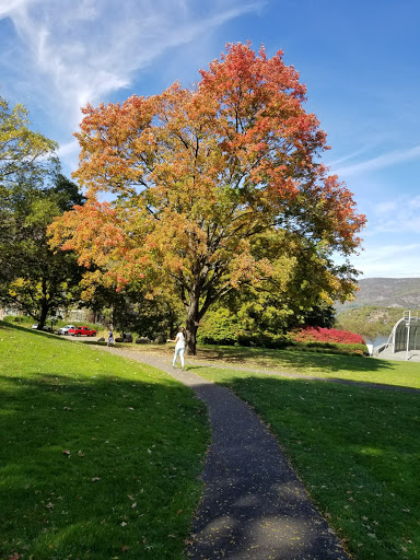 Museum «West Point Museum», reviews and photos, 2110 New South Post Rd, West Point, NY 10996, USA