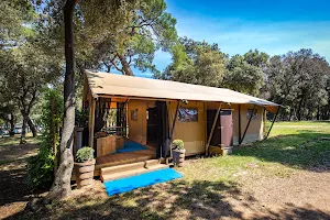 Arena Stoja Camping Homes image