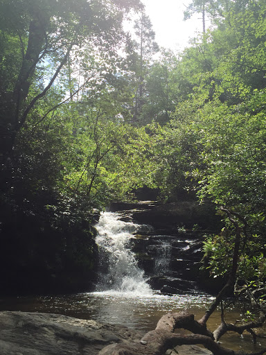 Outdoor Sports Store «The Local Hiker», reviews and photos, 173 E Main St, Spartanburg, SC 29306, USA