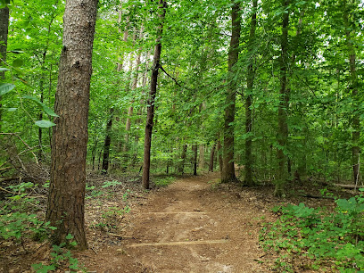 Chicopee Woods Trail System