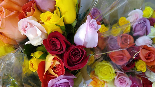 Grocery Store «Whole Foods Market», reviews and photos, 413 Centre St, Jamaica Plain, MA 02130, USA