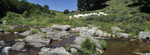 Délégation Allier-Loire amont - Agence de l'eau Loire-Bretagne à Lempdes