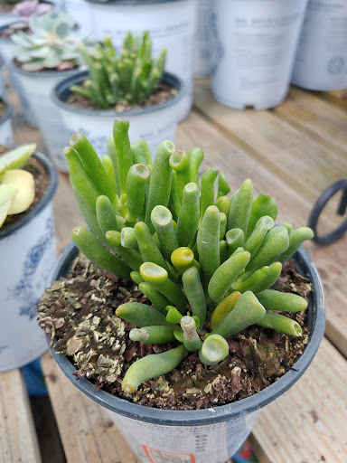 Home Improvement Store «The Home Depot», reviews and photos, 10550 Park Blvd N, Seminole, FL 33772, USA