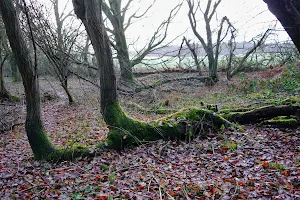 Dryhill Nature Reserve image