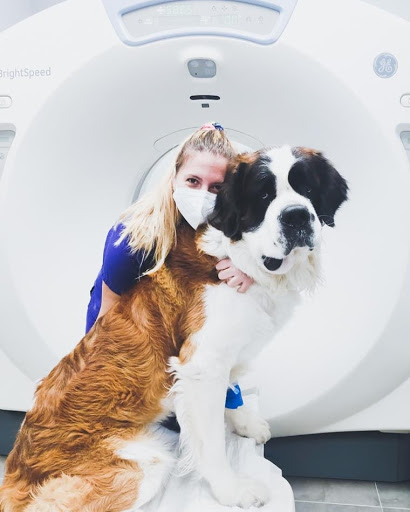 Balmesvet Veterinaris Hospital 24h en Barcelona