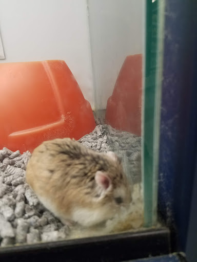 Pet Store «Super Pets», reviews and photos, 9403 E Las Tunas Dr, Temple City, CA 91780, USA