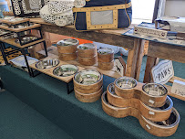 Toadally Pets - Photo 8 - Car repair in Kingsport, TN, Johnson City