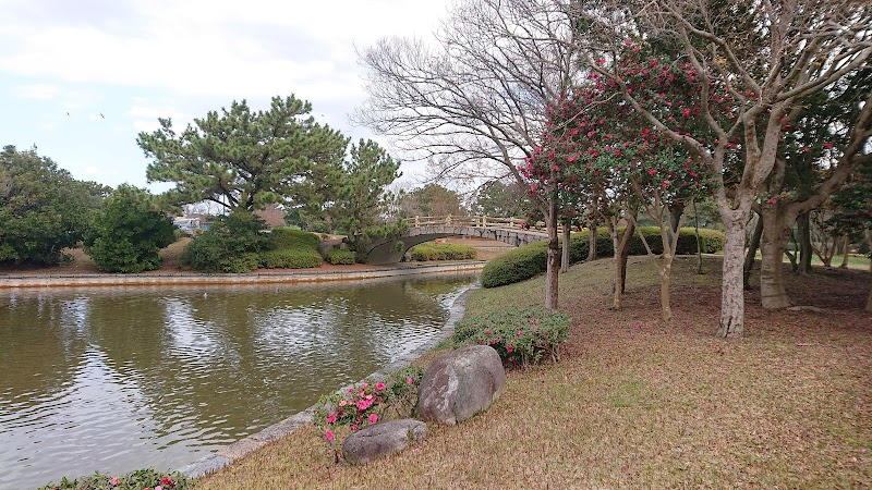 冒険の池（海の中道海浜公園）