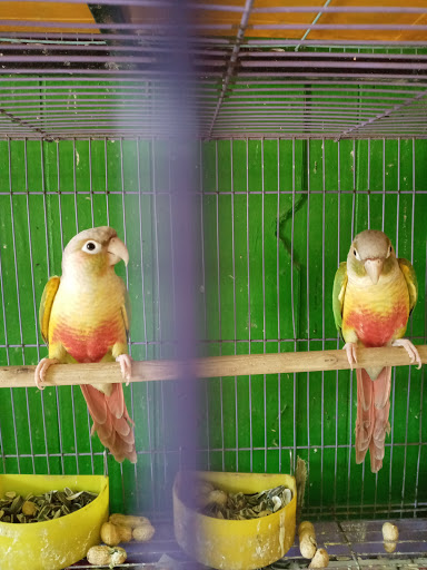 Pet Store «Inez Pet Shop», reviews and photos, 3825 Whittier Blvd, Los Angeles, CA 90023, USA