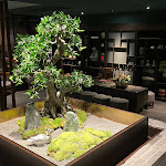 Photo n°3 de l'avis de Anna.h fait le 28/02/2024 à 14:28 sur le  Ya | The Mandarin Room 黄鹤楼 à Munich