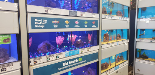 Pet Supply Store «Petco Animal Supplies», reviews and photos, 9078 SE Sunnyside Rd, Clackamas, OR 97015, USA