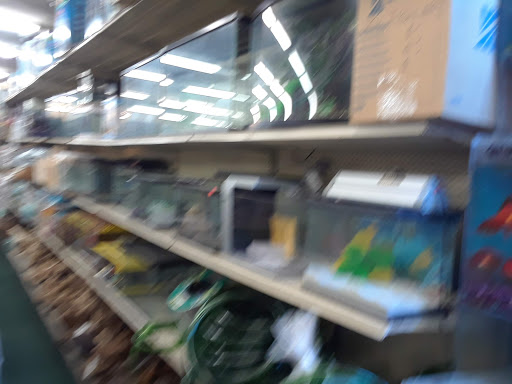 Pet Store «34 Pet Shop», reviews and photos, 3434 W Slauson Ave, Los Angeles, CA 90043, USA