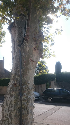 Place du Portail Neuf à Aubignan