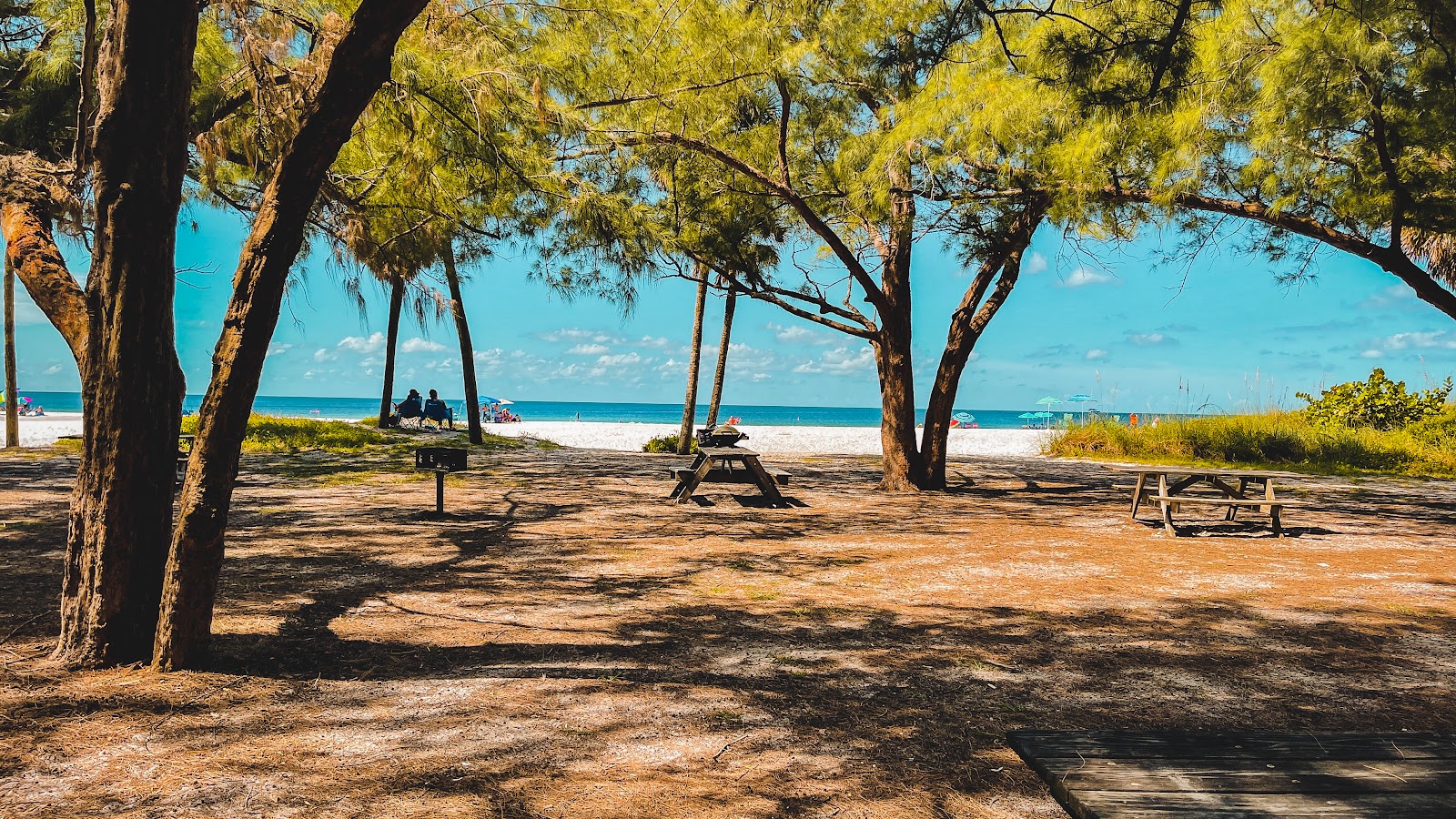 Photo de Coquina beach avec un niveau de propreté de très propre