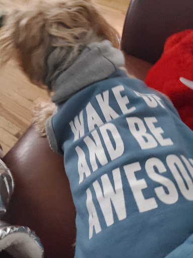 Pet Supply Store «Pet Supplies Plus», reviews and photos, 227 W Merrick Rd, Valley Stream, NY 11580, USA