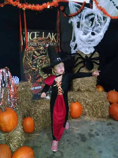 Motorcycle Dealer «Rice Lake Harley-Davidson», reviews and photos, 2801 S Wisconsin Ave, Rice Lake, WI 54868, USA