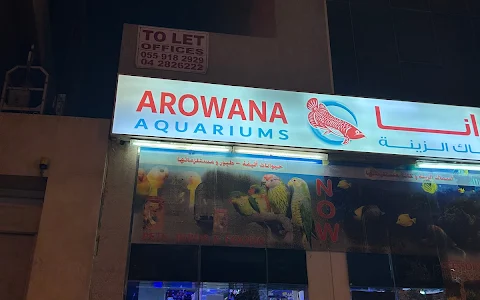 Arowana Aquarium & Pets image