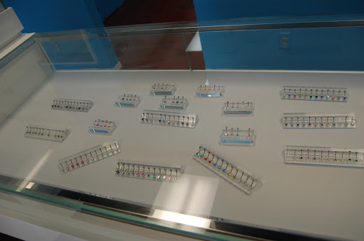 Explore mariah carey tattoo ideas, creative tattoo ideas in Coral Springs, available at AMATO Fine Jewelry & Body Piercing