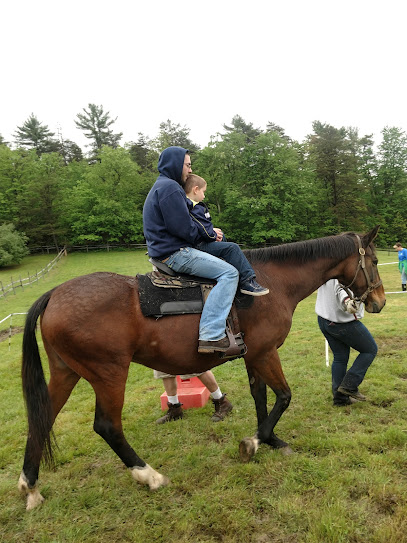 Appalachian Horse Rescue