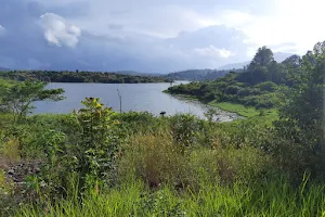 Karapuzha Earth Dam image