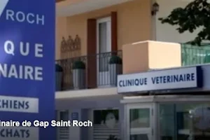 Clinique Veterinaire SAINT ROCH image