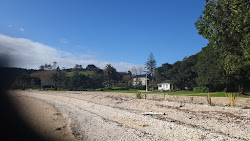 Wairoa Bay的照片 野外区域