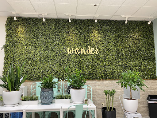 Wonder Tea Cafe