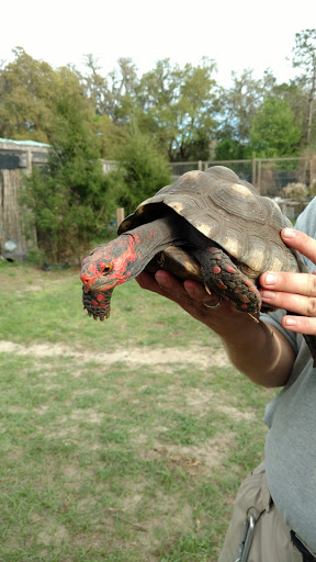 Zoo «Florida International Teaching Zoo», reviews and photos, 7725 FL-48, Bushnell, FL 33513, USA