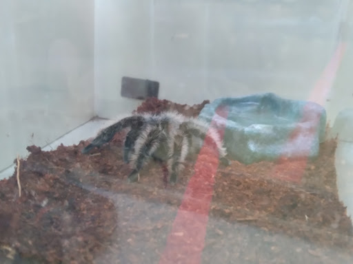 Pet Supply Store «Pet Supplies Plus», reviews and photos, 101 Sutton Ave, Oxford, MA 01540, USA