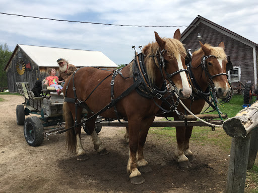 Country Dreams Farm image 3