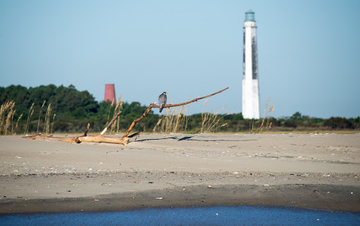 Fishing Charter «Carolina Guide Service - Fishing Charters», reviews and photos, 169 Windover Dr, Pawleys Island, SC 29585, USA