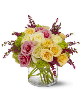 Florist «Mills the Florist», reviews and photos, 235 University Ave, Palo Alto, CA 94301, USA