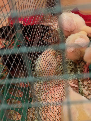 Clothing Store «Big R McHenry», reviews and photos, 1860 N Richmond Rd, McHenry, IL 60051, USA