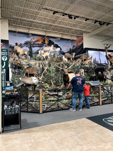 Outdoor Sports Store «Field & Stream», reviews and photos, 800 Brevard Rd #901, Asheville, NC 28806, USA