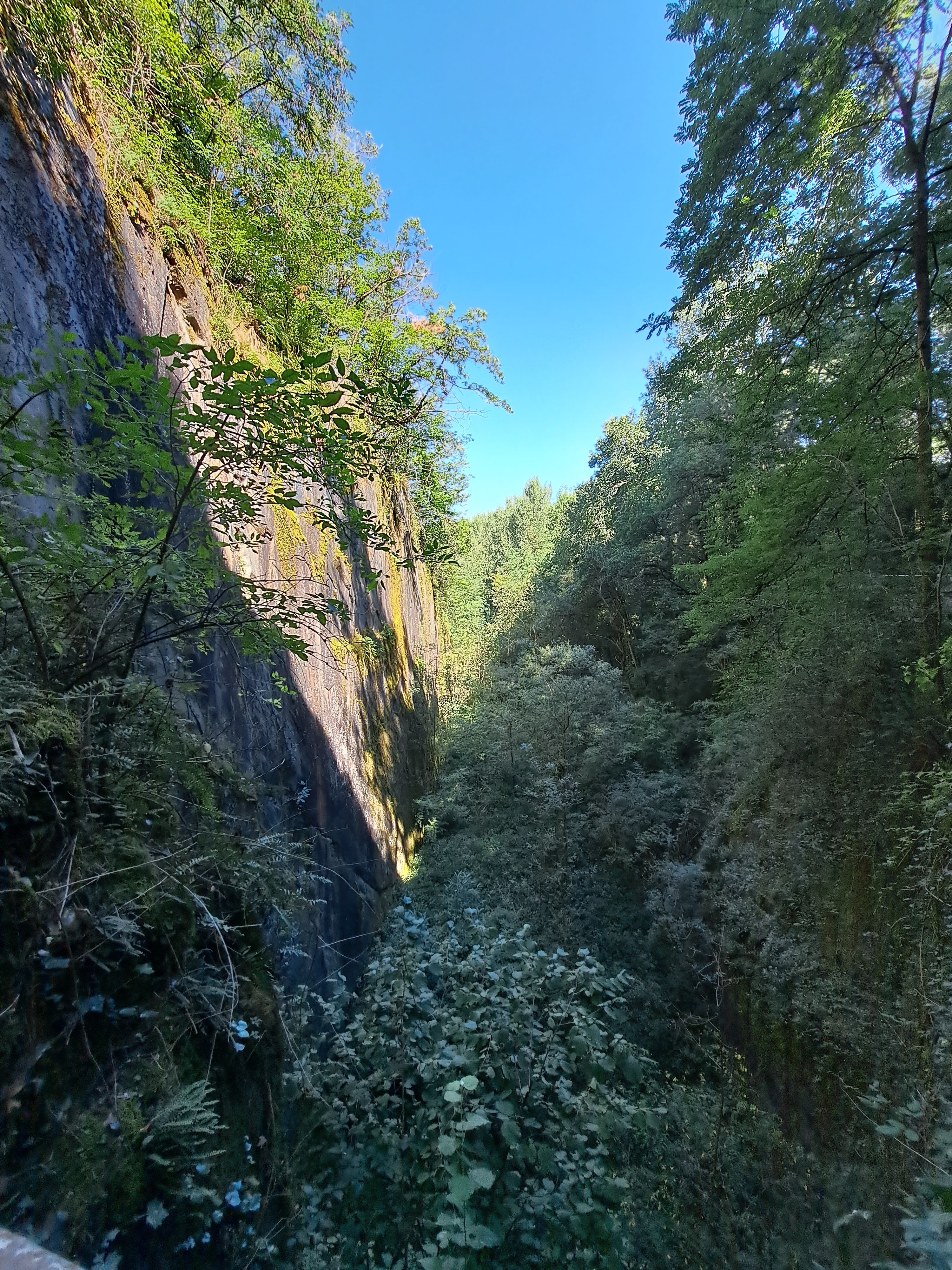 Photo n° 14 de l'avis de Gwenaelle.a fait le 22/08/2023 à 11:19
