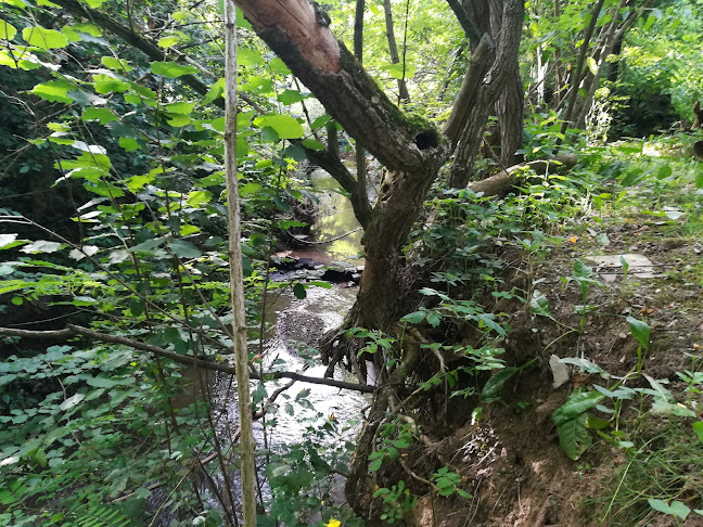 Kikerics Erdei Szálláshely és Turistapihenő Zebegény - Szálloda