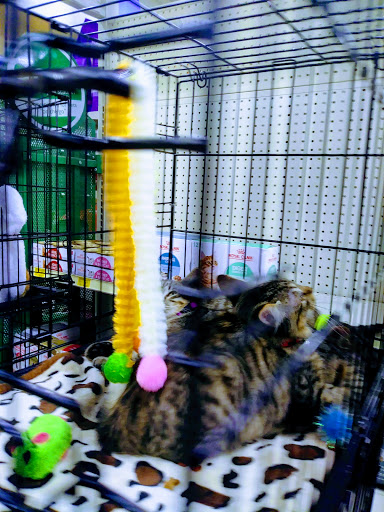 Pet Supply Store «PetSmart», reviews and photos, 2610 Eldridge Pkwy, Houston, TX 77082, USA