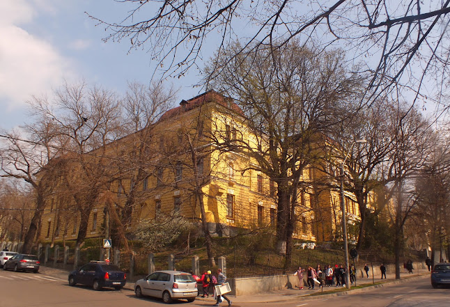 Colegiul Național Costache Negruzzi - Școală