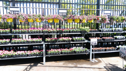 Discount Store «Walmart», reviews and photos, 321 NE Kings Valley Hwy, Dallas, OR 97338, USA