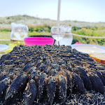 Photo n° 1 de l'avis de pascaline.e fait le 24/08/2019 à 23:32 pour L' Escale à Marennes-Hiers-Brouage