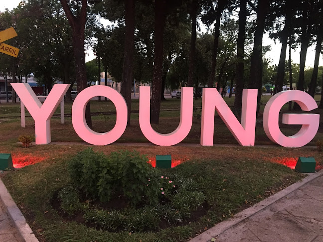 Opiniones de YOUNG letras or en Young - Museo