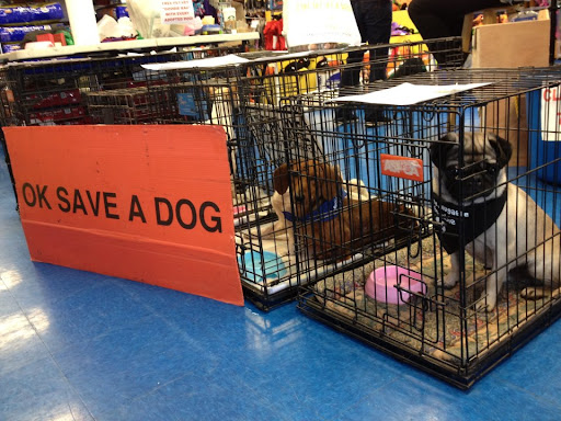 Veterinarian «Pet Vet Supply», reviews and photos, 1215 E Lockheed Dr, Oklahoma City, OK 73110, USA