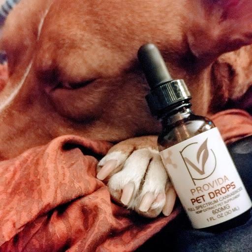 Tobacco Shop «DNA Smoke Shop», reviews and photos, 6402 Ridge Rd, Port Richey, FL 34668, USA