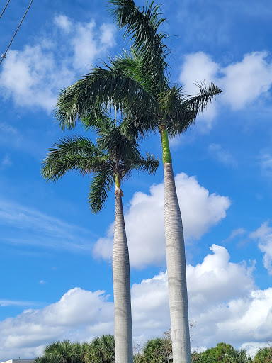 Electronics Store «Best Buy», reviews and photos, 550 Congress Ave, Boynton Beach, FL 33426, USA
