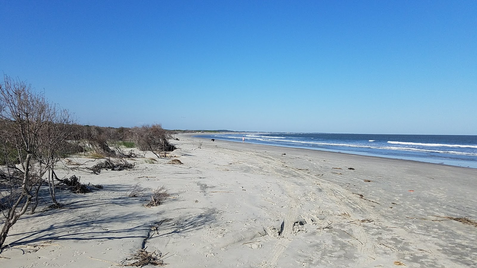 Valokuva Seabrook beachista. pinnalla harmaa hiekka:n kanssa