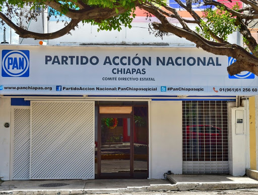 Partido Acción Nacional