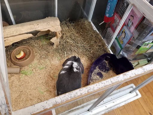 Gift Shop «The Wrinkled Egg», reviews and photos, 2710 NC-225, Flat Rock, NC 28731, USA