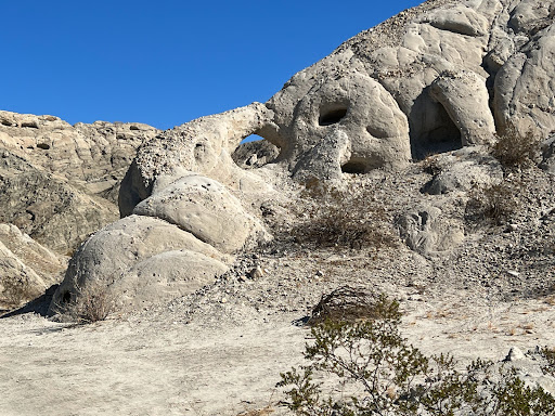 Tourist Attraction «Desert Adventures», reviews and photos, 74794 Lennon Pl, Palm Desert, CA 92260, USA