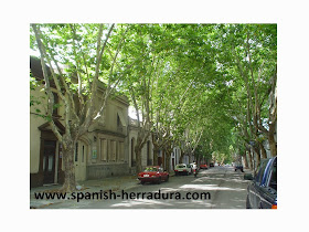 Centro de Enseñanza de Español La Herradura